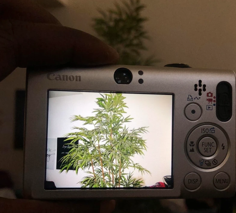 Canon PowerShot ELPH SD1100 IS 8.0MP Digital Camera